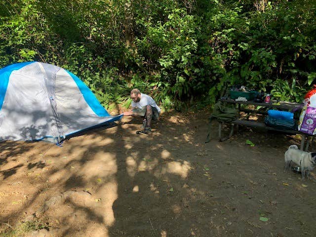Camper submitted image from Alder Dune Campground - 5