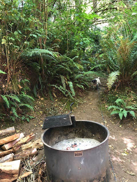 Camper-submitted photo at Alder Dune Campground near Florence, OR