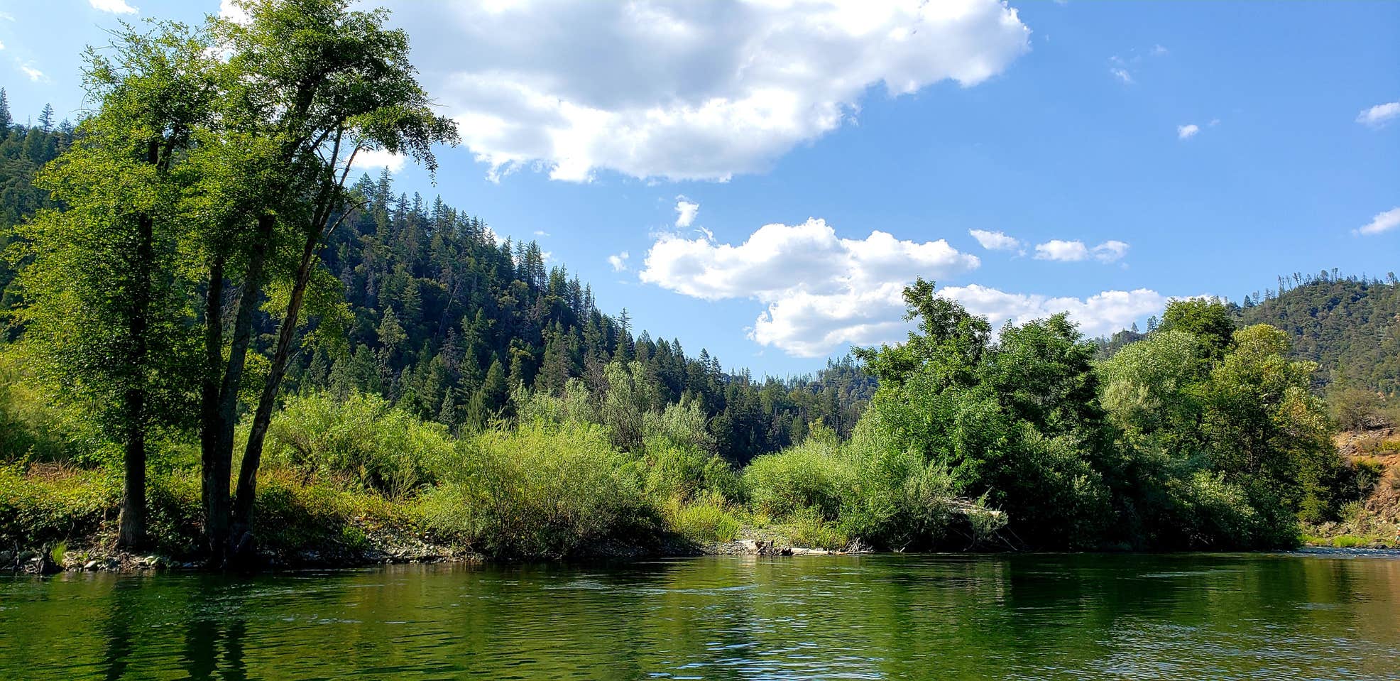 Douglas City Campground The Dyrt