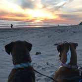 Review photo of Canyon Campground — Leo Carrillo State Park Campground by E L., March 27, 2018