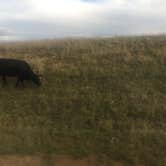 Review photo of Ccc Campground (Nd) — Dakota Prairie National Grasslands by Kalene H., July 28, 2020