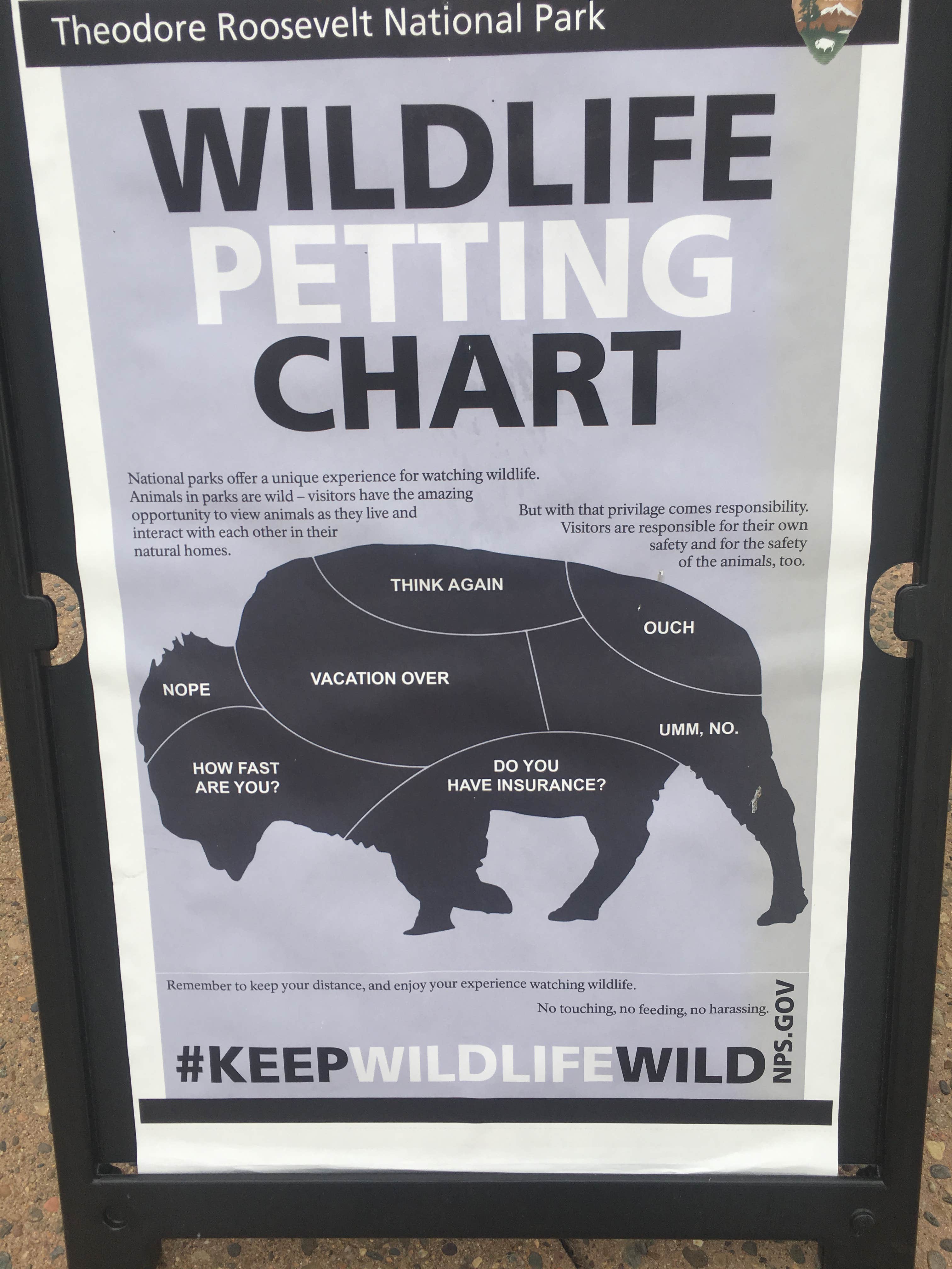 Kalene H.'s photo of camping with pets at Ccc Campground (Nd) — Dakota Prairie National Grasslands near Sakakawea Lake