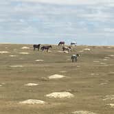 Review photo of Ccc Campground (Nd) — Dakota Prairie National Grasslands by Kalene H., July 28, 2020