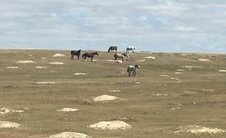 Kalene H.'s photo of camping with a horse at Ccc Campground (Nd) — Dakota Prairie National Grasslands near Belfield, ND