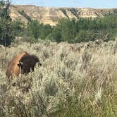 Review photo of Ccc Campground (Nd) — Dakota Prairie National Grasslands by Kalene H., July 28, 2020