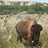 Review photo of Ccc Campground (Nd) — Dakota Prairie National Grasslands by Kalene H., July 28, 2020