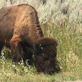 Review photo of Ccc Campground (Nd) — Dakota Prairie National Grasslands by Kalene H., July 28, 2020