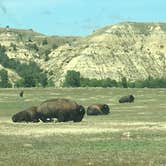 Review photo of Ccc Campground (Nd) — Dakota Prairie National Grasslands by Kalene H., July 28, 2020