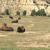 Review photo of Ccc Campground (Nd) — Dakota Prairie National Grasslands by Kalene H., July 28, 2020