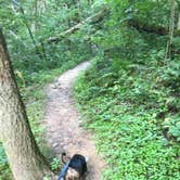 Review photo of Perrot State Park Campground by Kalene H., July 28, 2020