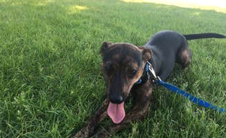 Kalene H.'s photo of camping with pets at Willow River State Park Campground near Osceola, WI