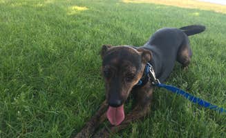Kalene H.'s photo of camping with pets at Willow River State Park Campground near Eau Galle Lake