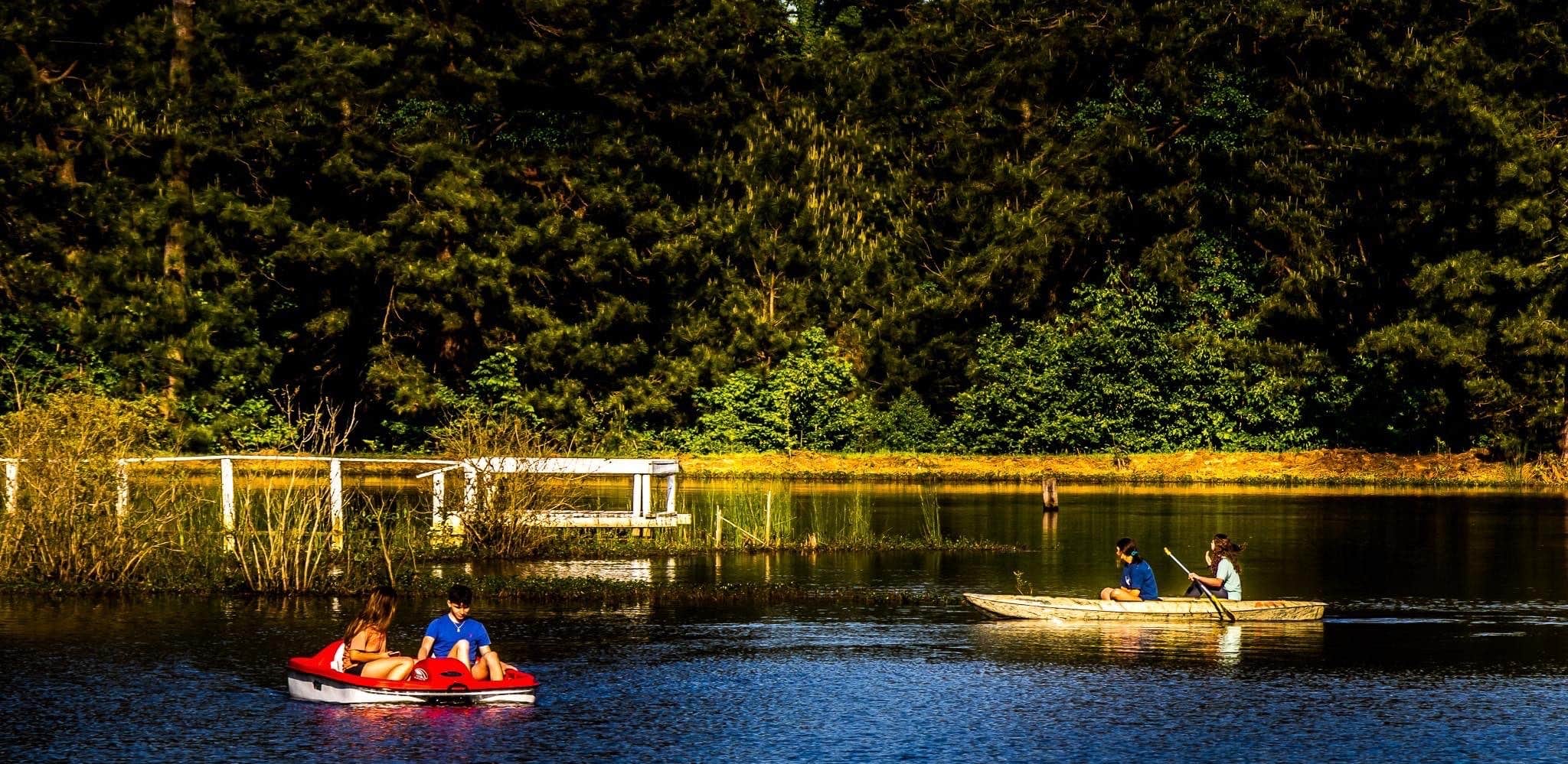 Camper submitted image from Forest Lake RV Park - 4