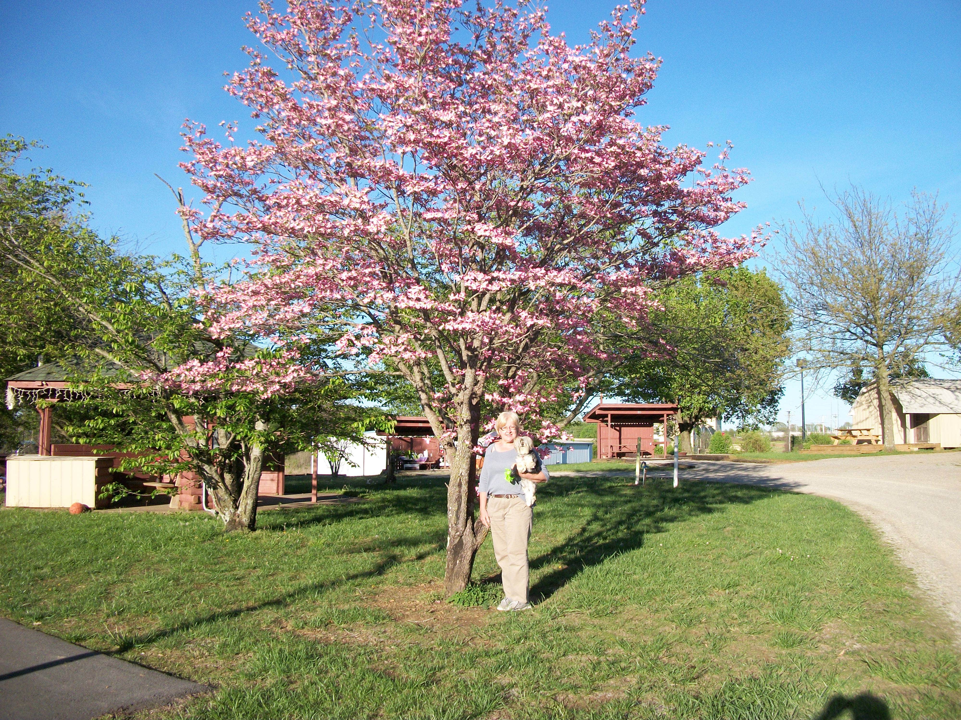 Camper-submitted photo at Dad's Bluegrass Campground near Alvaton, KY