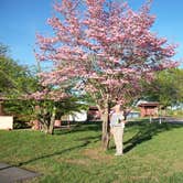 Review photo of Dad's Bluegrass Campground by Charlie M., July 28, 2020