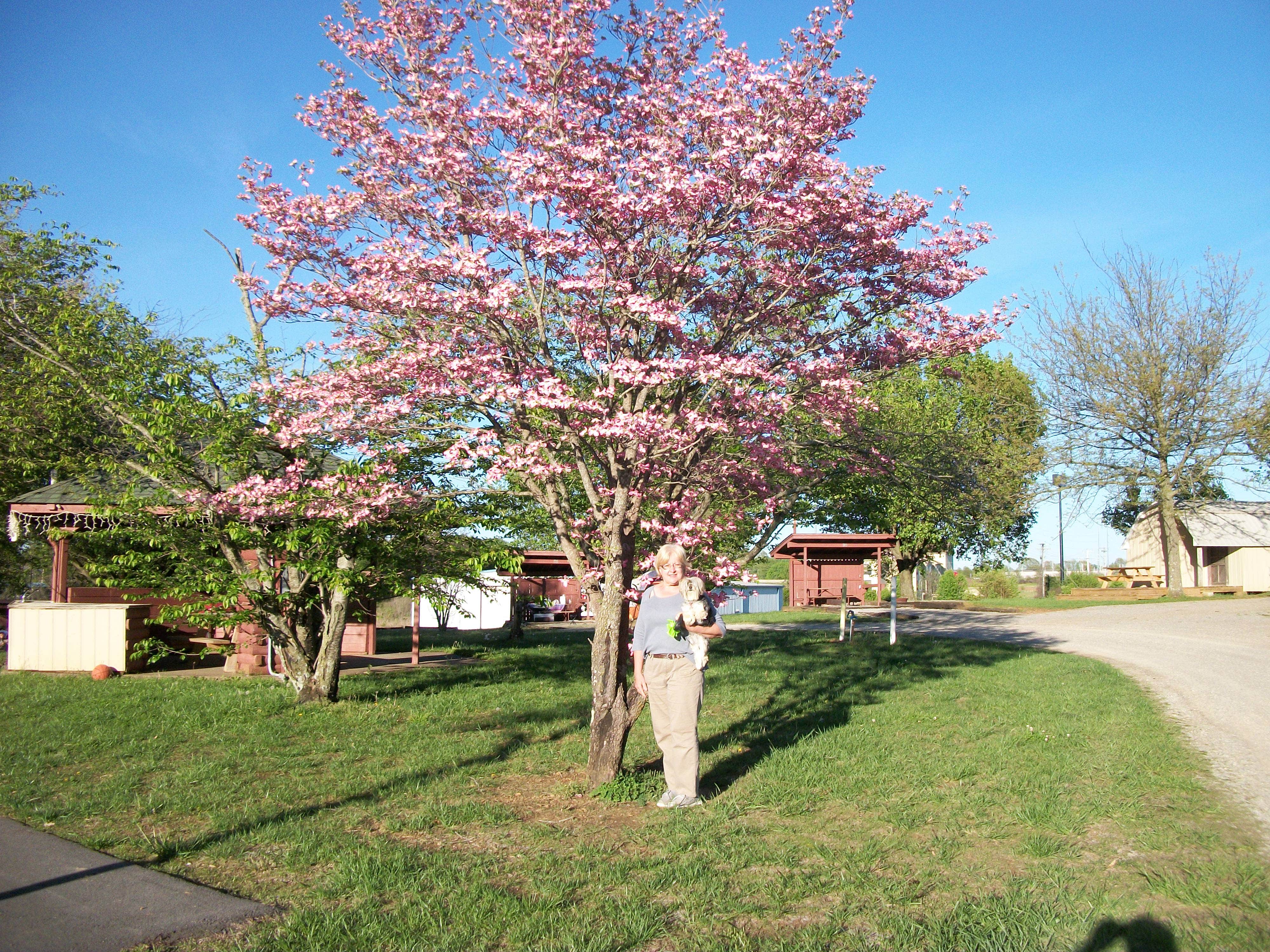 Camper submitted image from Dad's Bluegrass Campground - 3