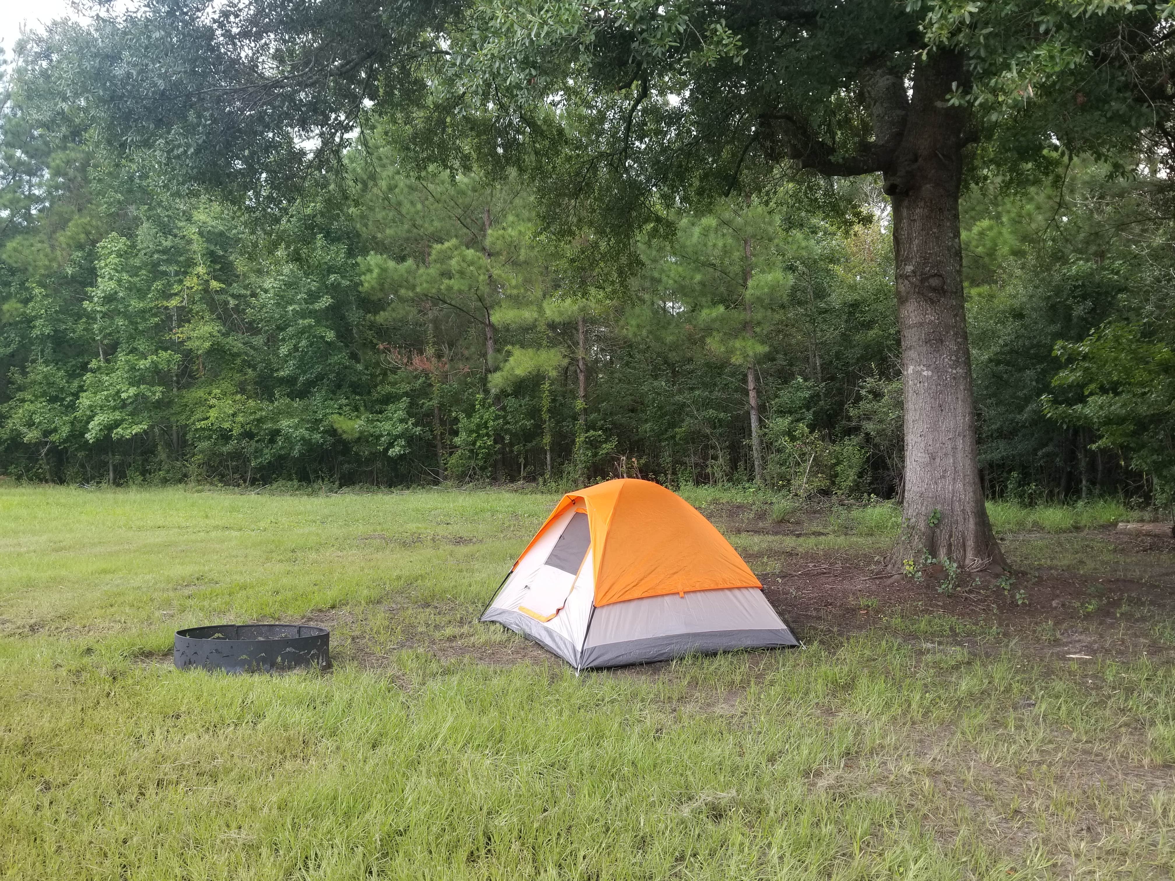 Camper-submitted photo at River Island Adventures near Little River, SC