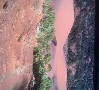 Camper-submitted photo from Meadows - Coral Pink Sand Dunes Dispersed