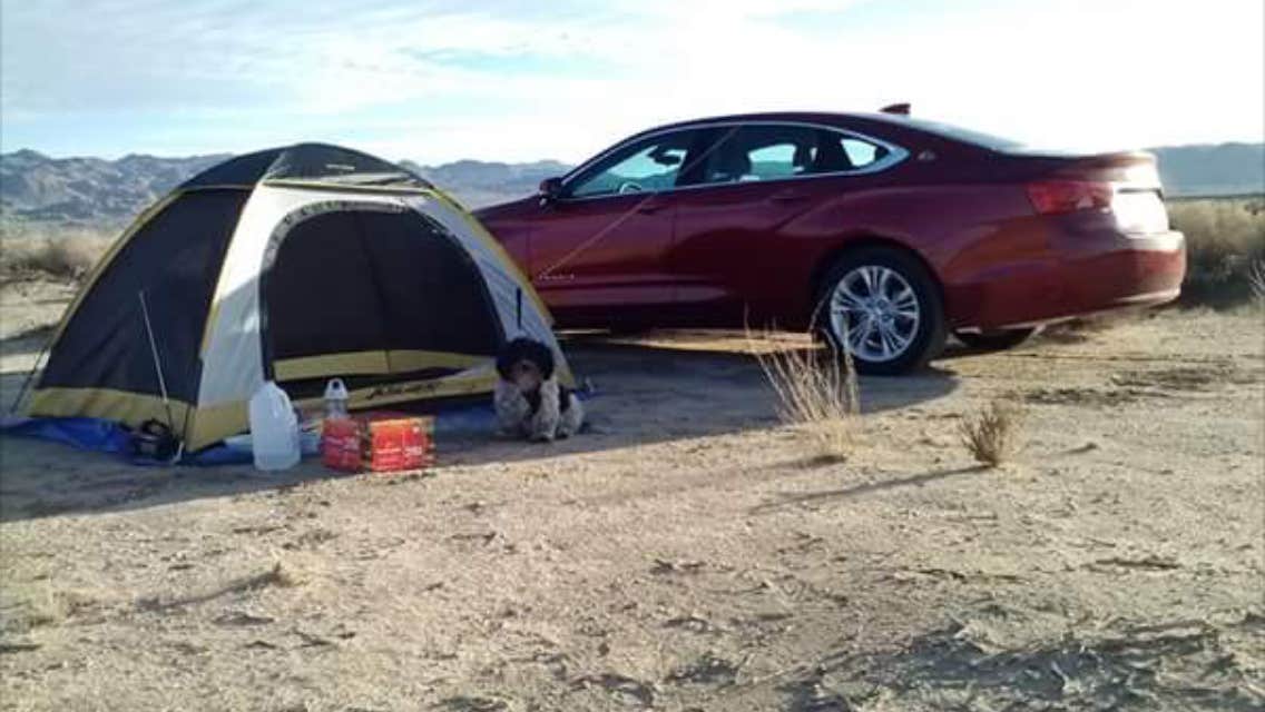 Salem L.'s photo at Joshua Tree South - BLM Dispersed near Thermal, CA