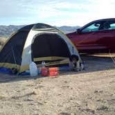 Review photo of Joshua Tree South - BLM Dispersed by Salem L., March 28, 2018
