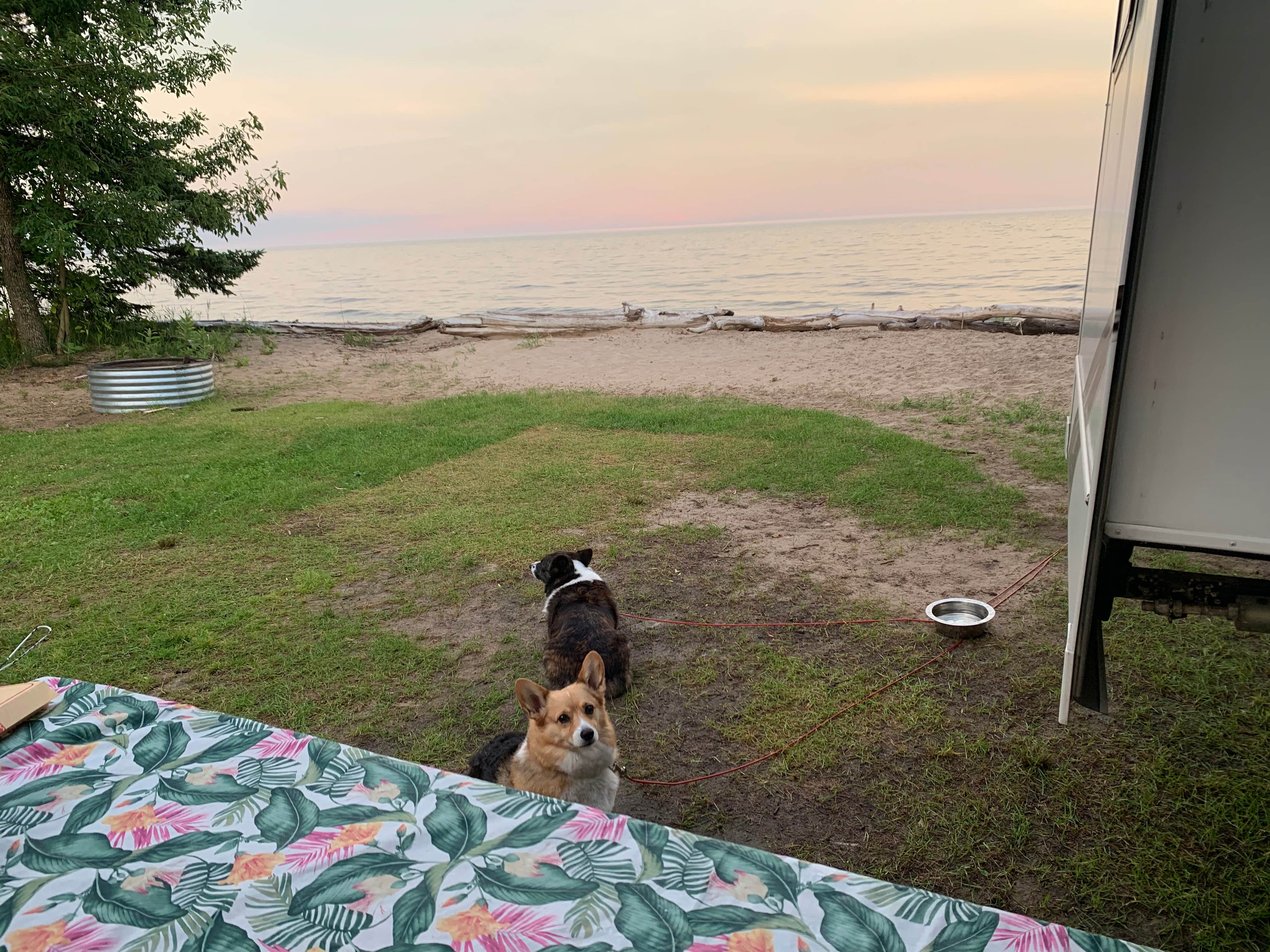 Jamie B.'s photo of camping with pets at Fuller's Resort and Campground near La Porte, IN