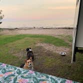 Review photo of Fuller's Resort and Campground by Jamie B., July 29, 2020