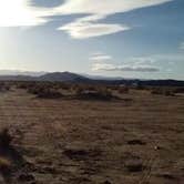 Review photo of Joshua Tree South - BLM Dispersed by Salem L., March 28, 2018