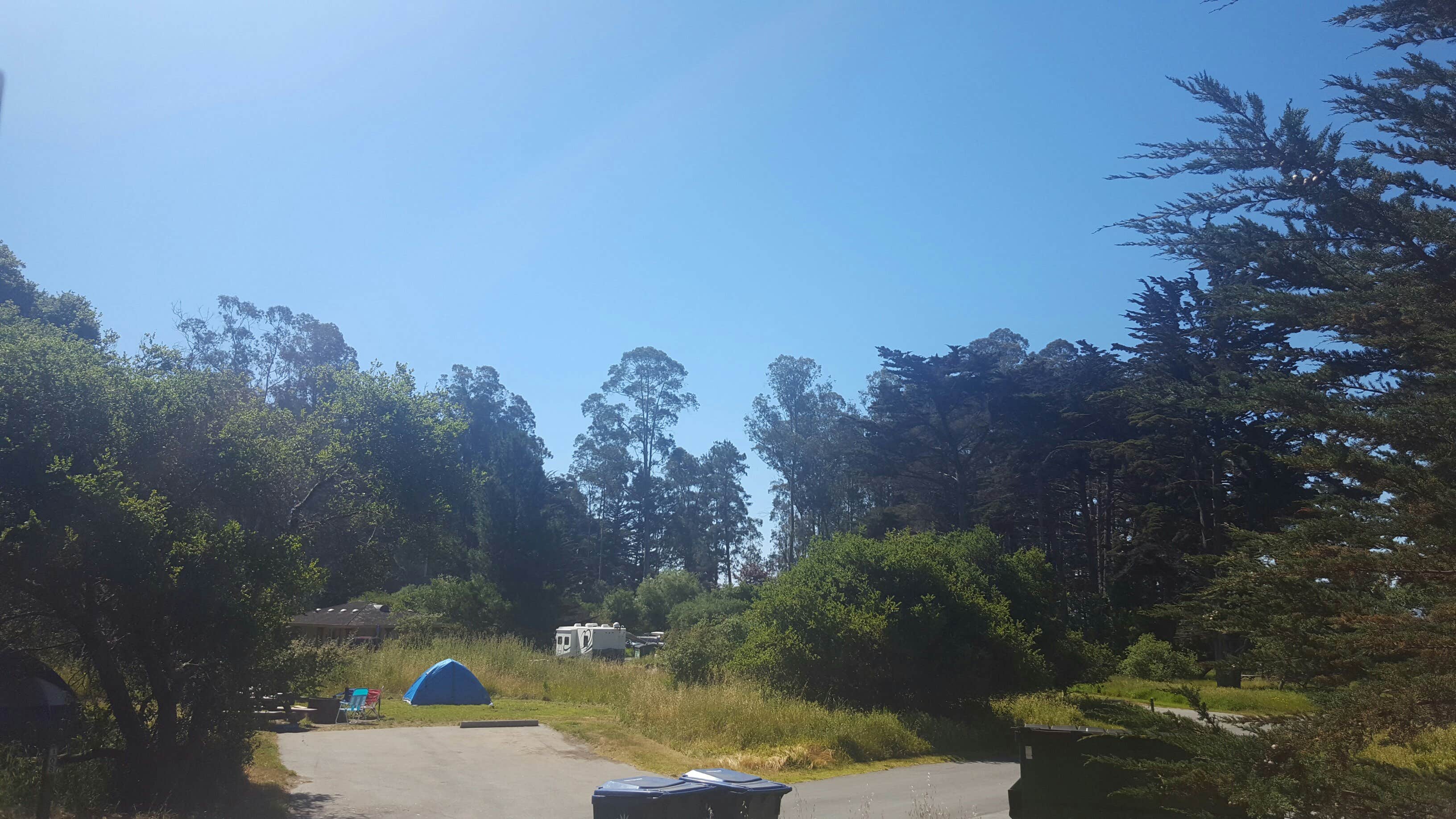 Carina B.'s photo at New Brighton State Beach Campground near Felton, CA