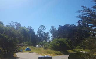 Carina B.'s photo at New Brighton State Beach Campground near Felton, CA