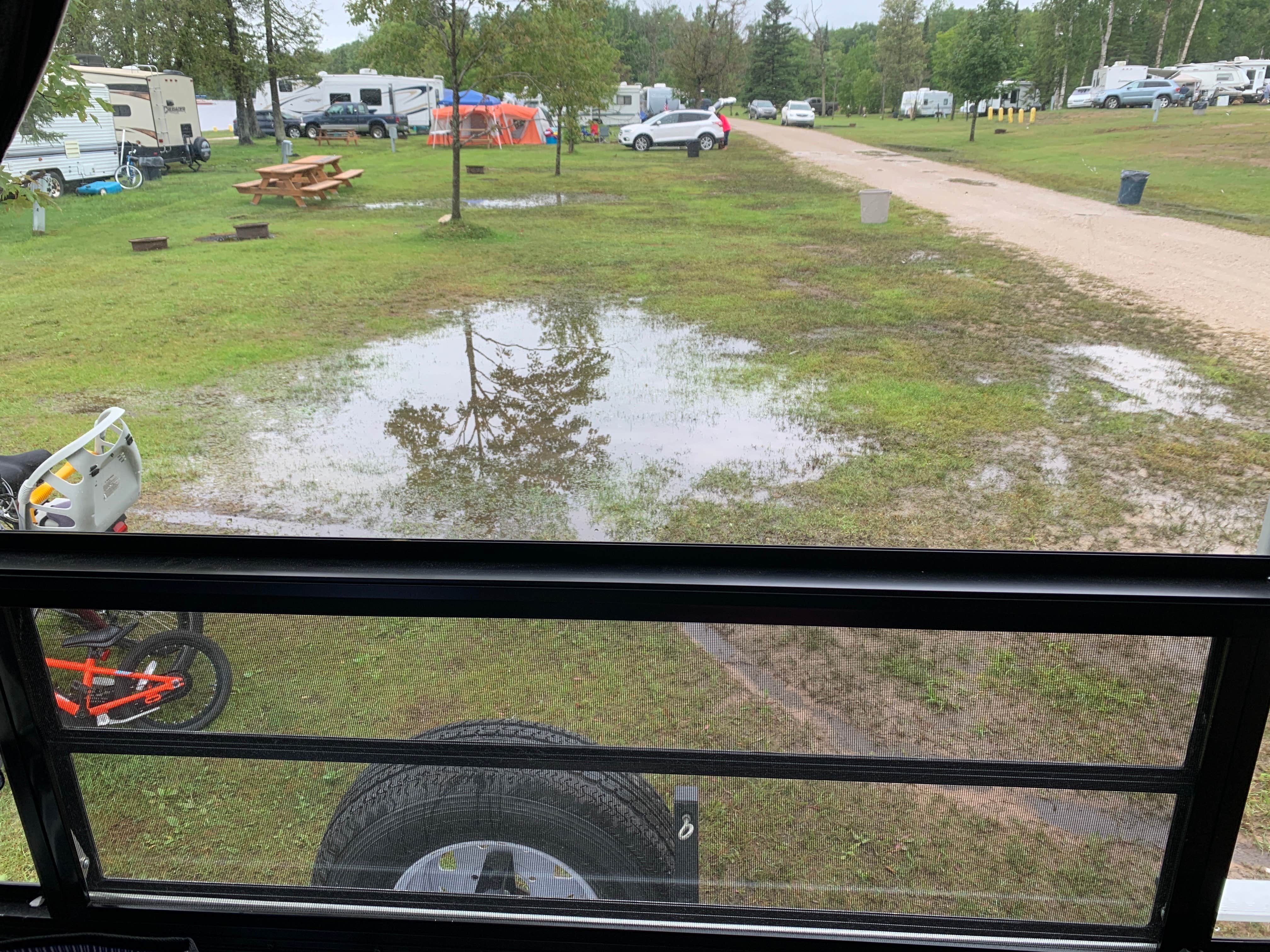 Trout Lake Campground The Dyrt