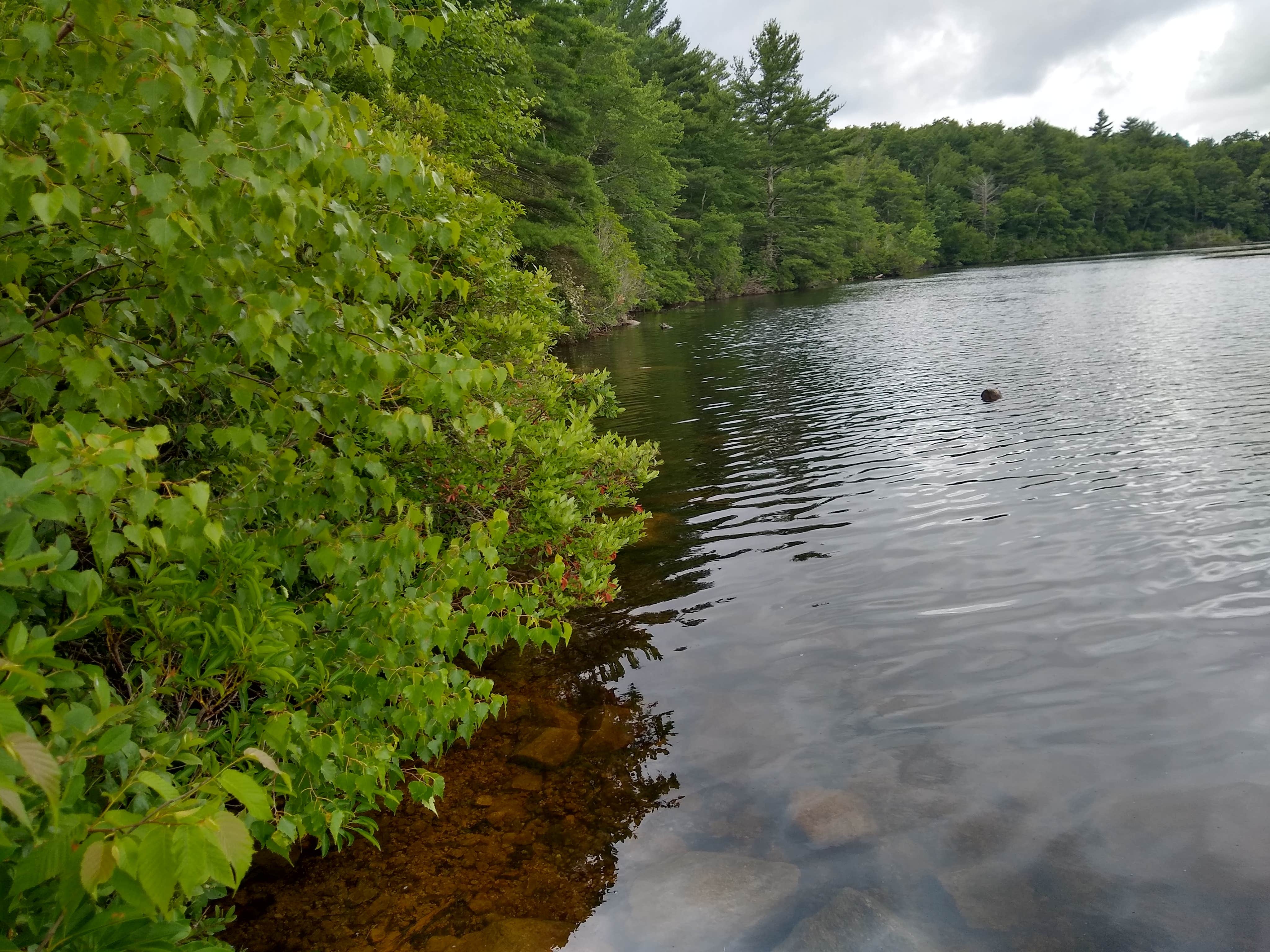 Camper-submitted photo at George Washington State Campground near Millville, MA