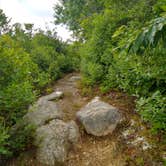 Review photo of George Washington State Campground by Joanna M., July 29, 2020