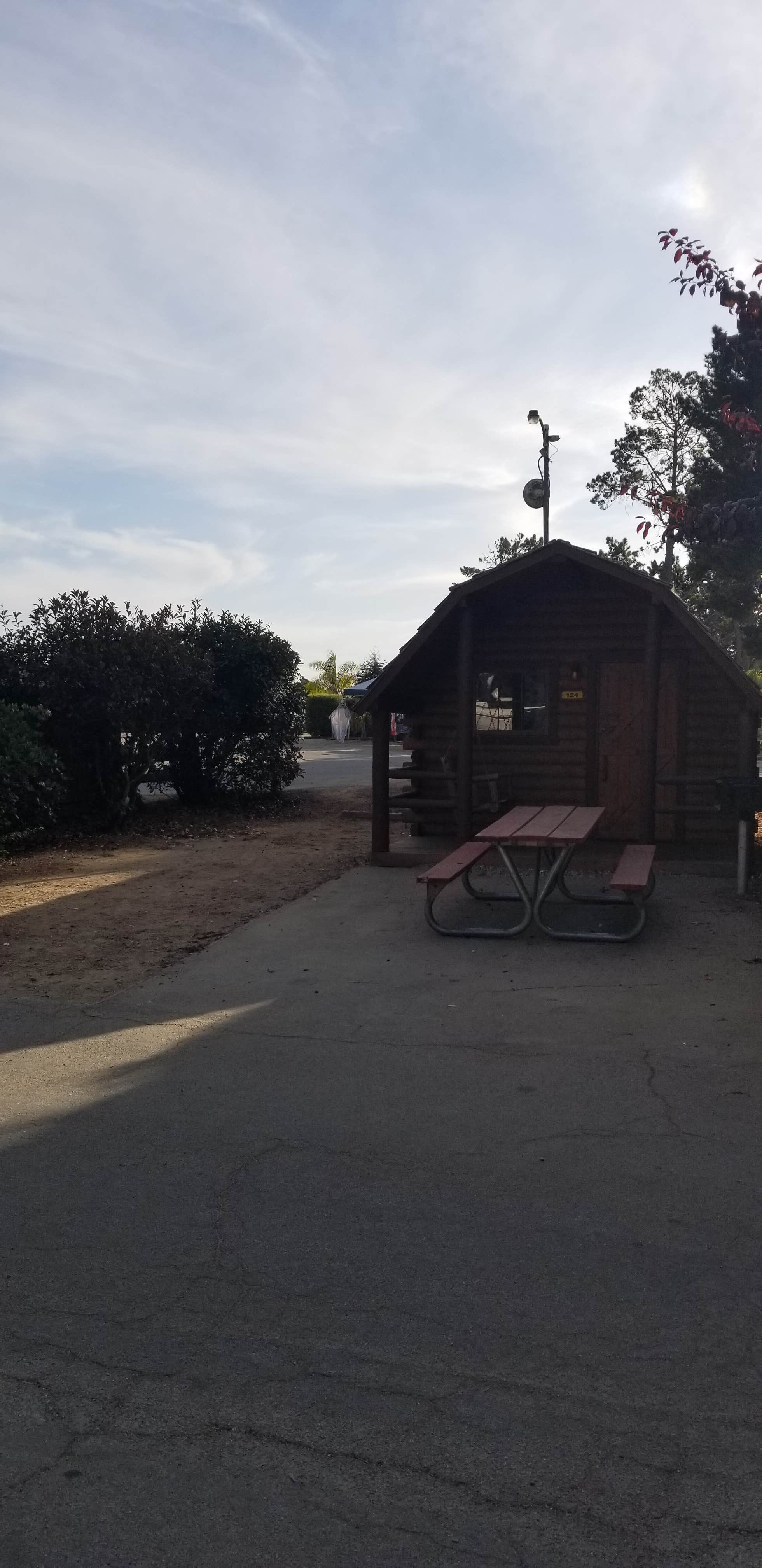 Carina B.'s photo of glamping accommodations at Santa Cruz/Monterey Bay KOA Holiday near Soquel, CA