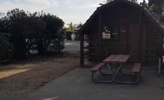 Carina B.'s photo of a cabin at Santa Cruz/Monterey Bay KOA Holiday near Loma Mar, CA