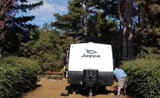 Carina B.'s photo at Santa Cruz/Monterey Bay KOA Holiday near San Juan Bautista, CA