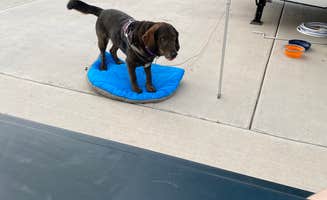 Roni J.'s photo of camping with pets at Aspen Grove RV Park near Willard, UT