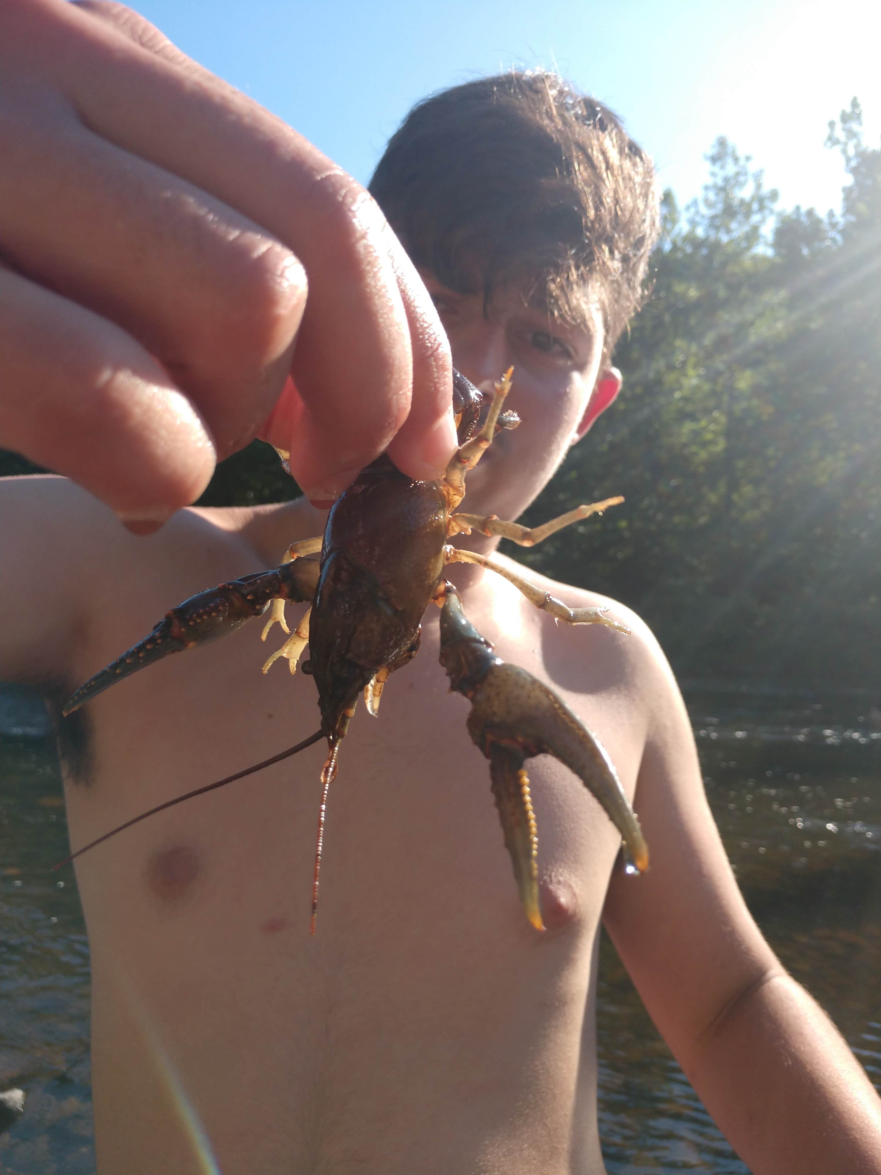 Camping near Kenolie Village Campground: West River Camperama, Townshend, Vermont