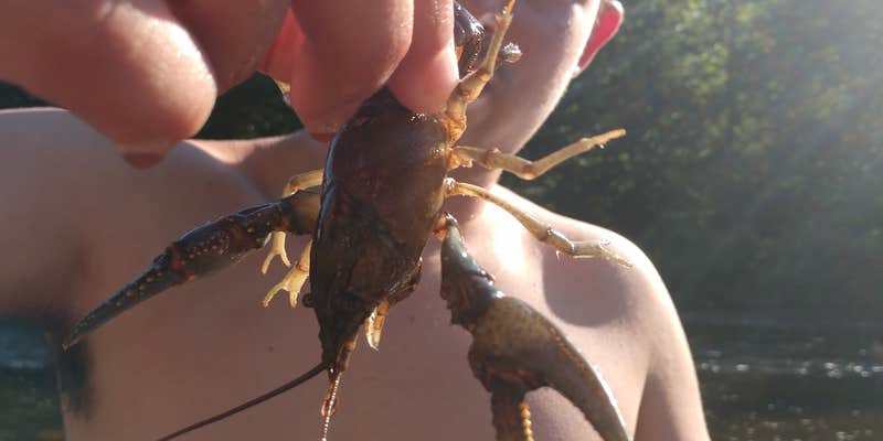 Camper submitted image from West River Camperama