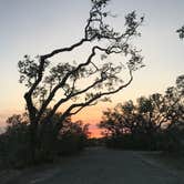 Review photo of Goose Island State Park Campground by Peg F., March 28, 2018