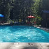 Review photo of Trinity Lake KOA Holiday by Carina B., July 29, 2020