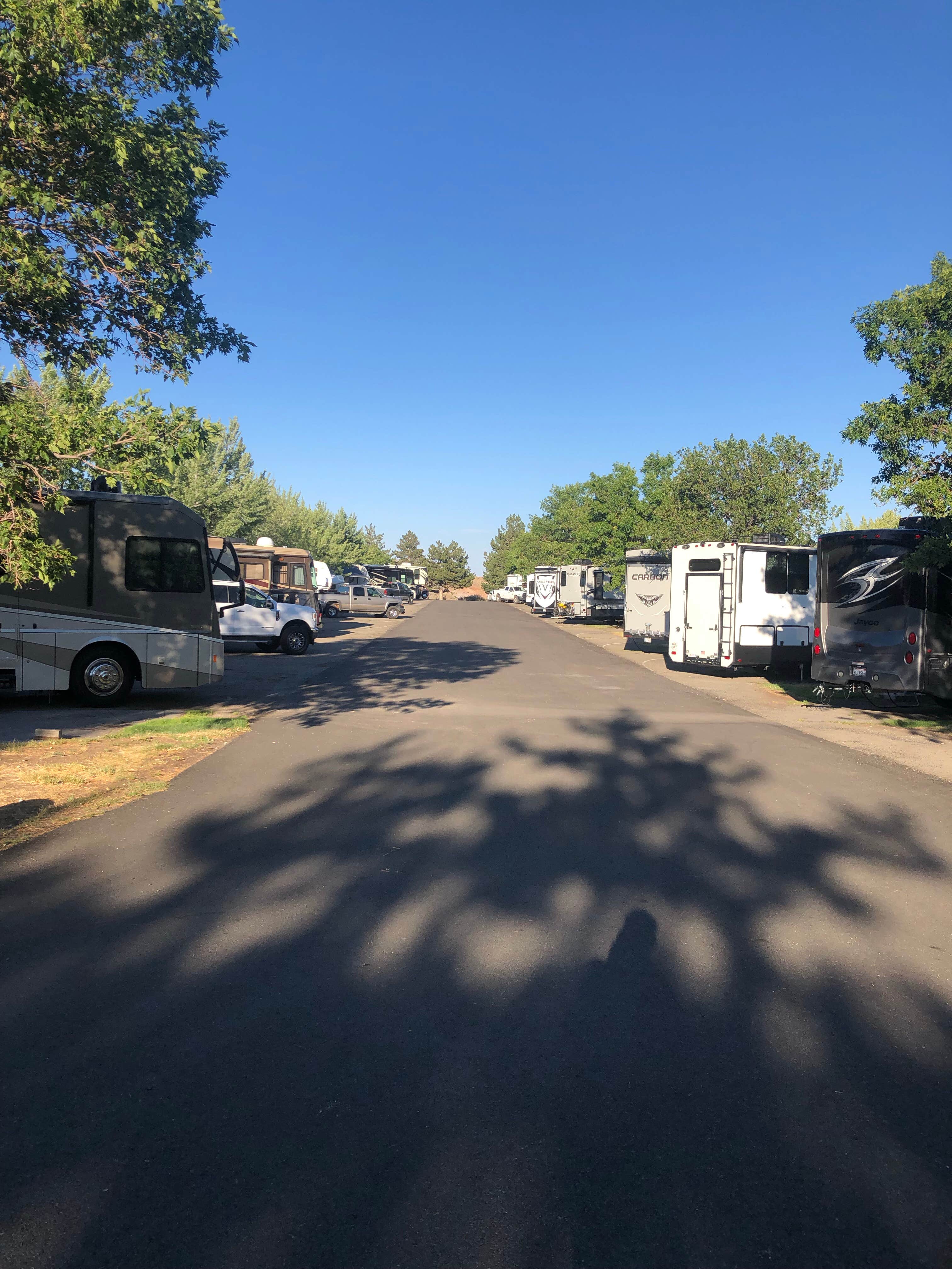 Camper-submitted photo at Reno KOA at Boomtown Casino near Floriston, CA