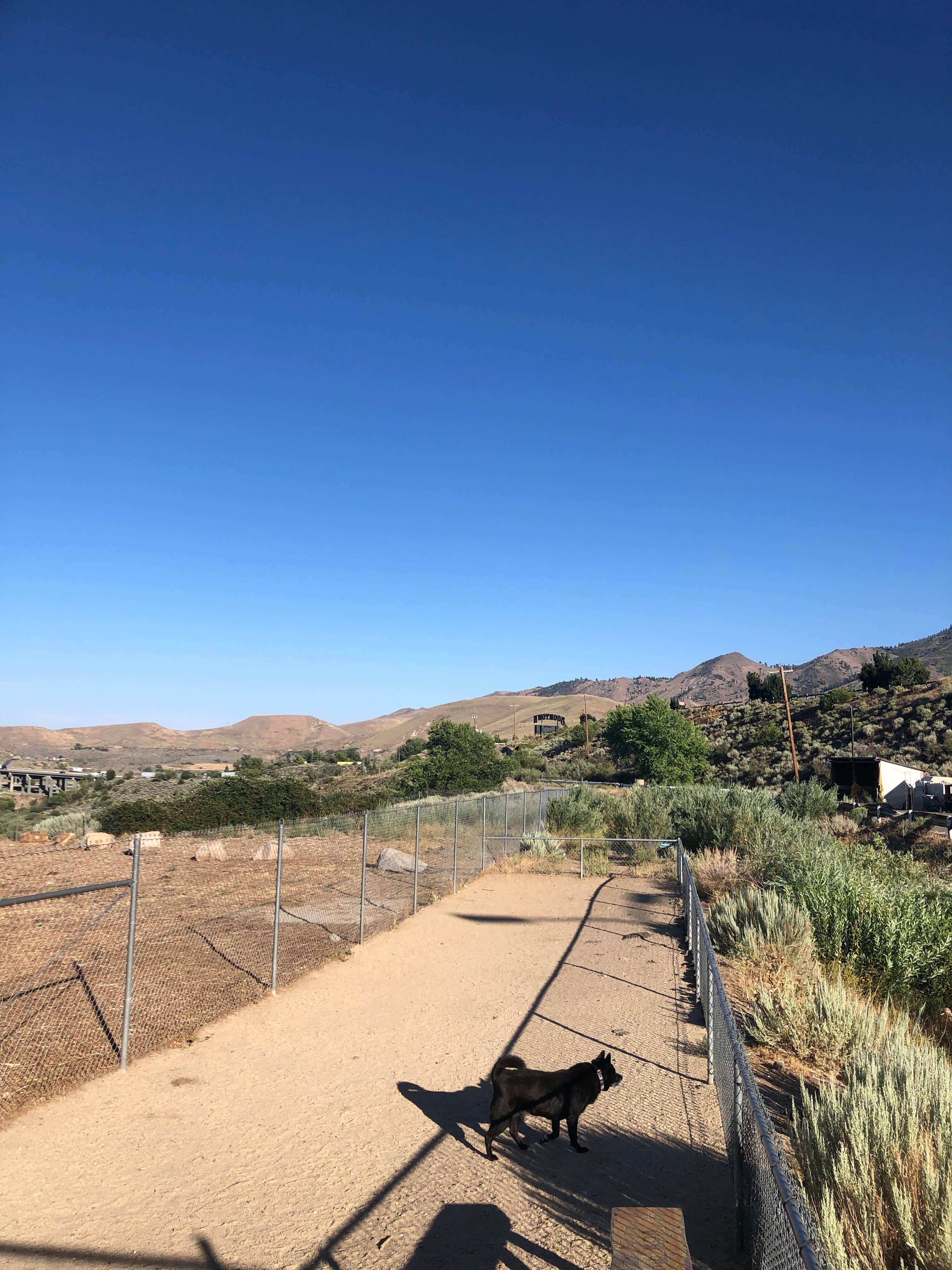 Thomas K.'s photo of camping with pets at Reno KOA at Boomtown Casino near Reno, NV