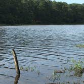 Review photo of Huntsville State Park Campground by Melanie  C., March 28, 2018
