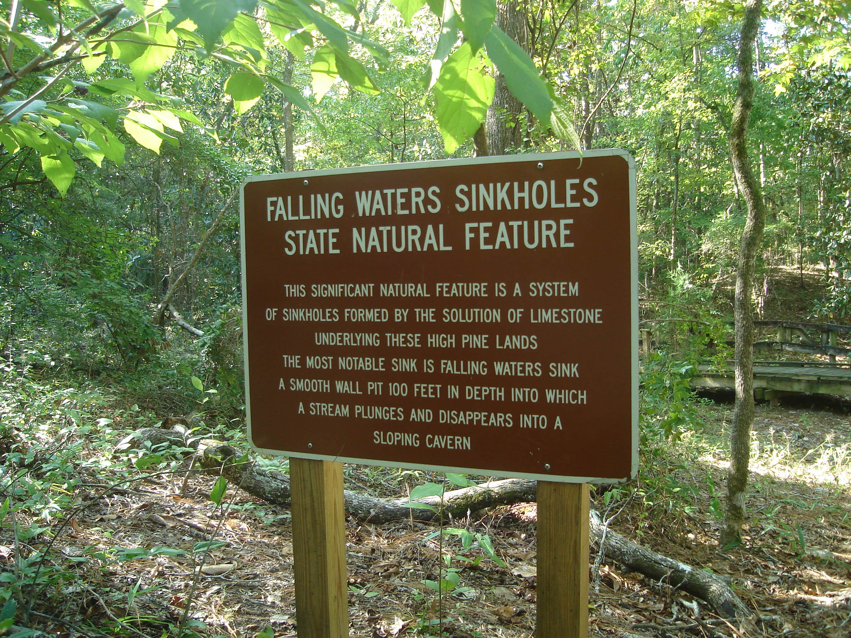 Camper submitted image from Falling Waters State Park Campground - 2