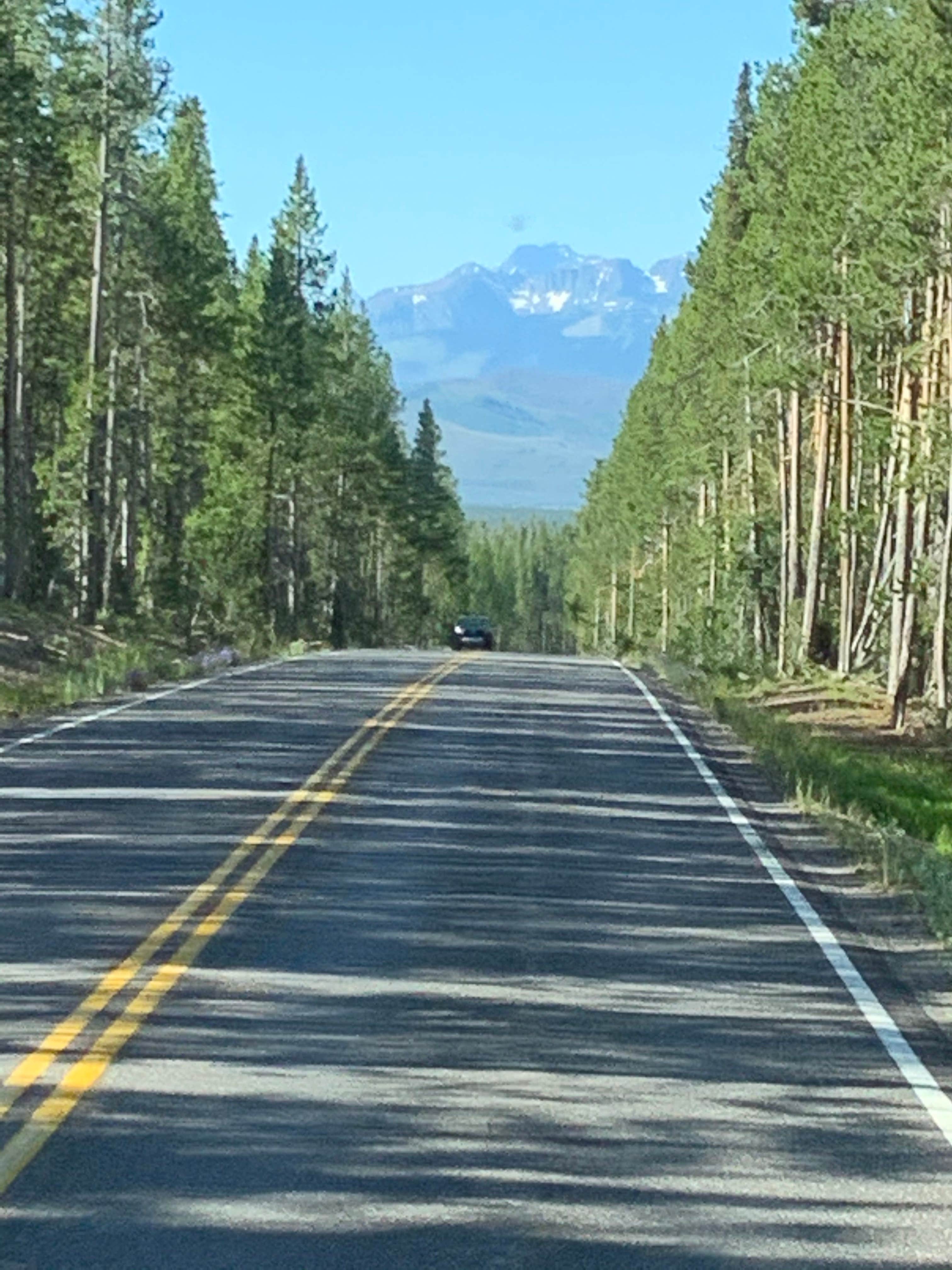 Camper submitted image from Spread Creek Dispersed Campground - 3