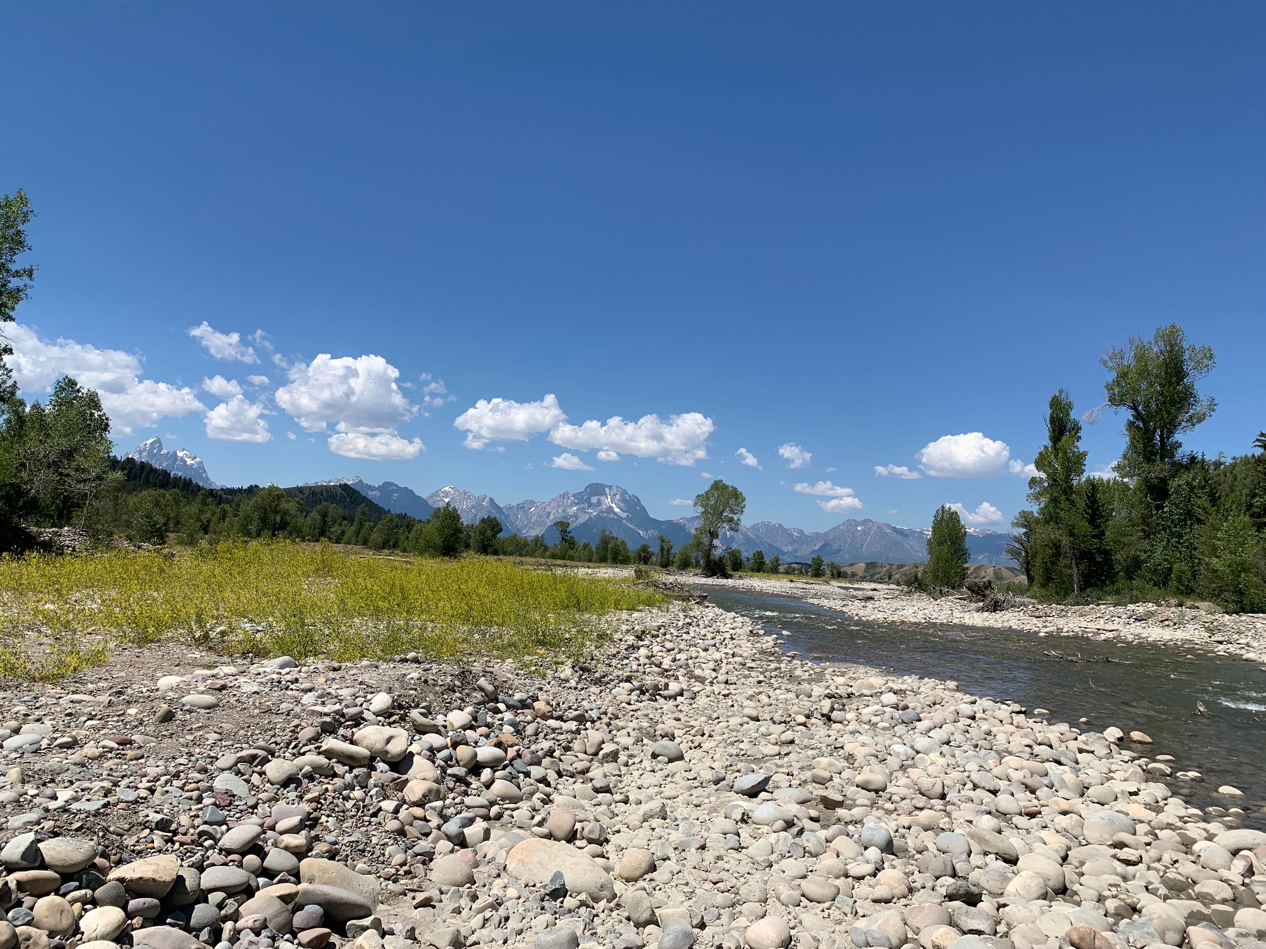 Camper submitted image from Spread Creek Dispersed Campground - 2