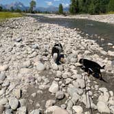 Review photo of Spread Creek Dispersed Campground by CHris B., July 22, 2020