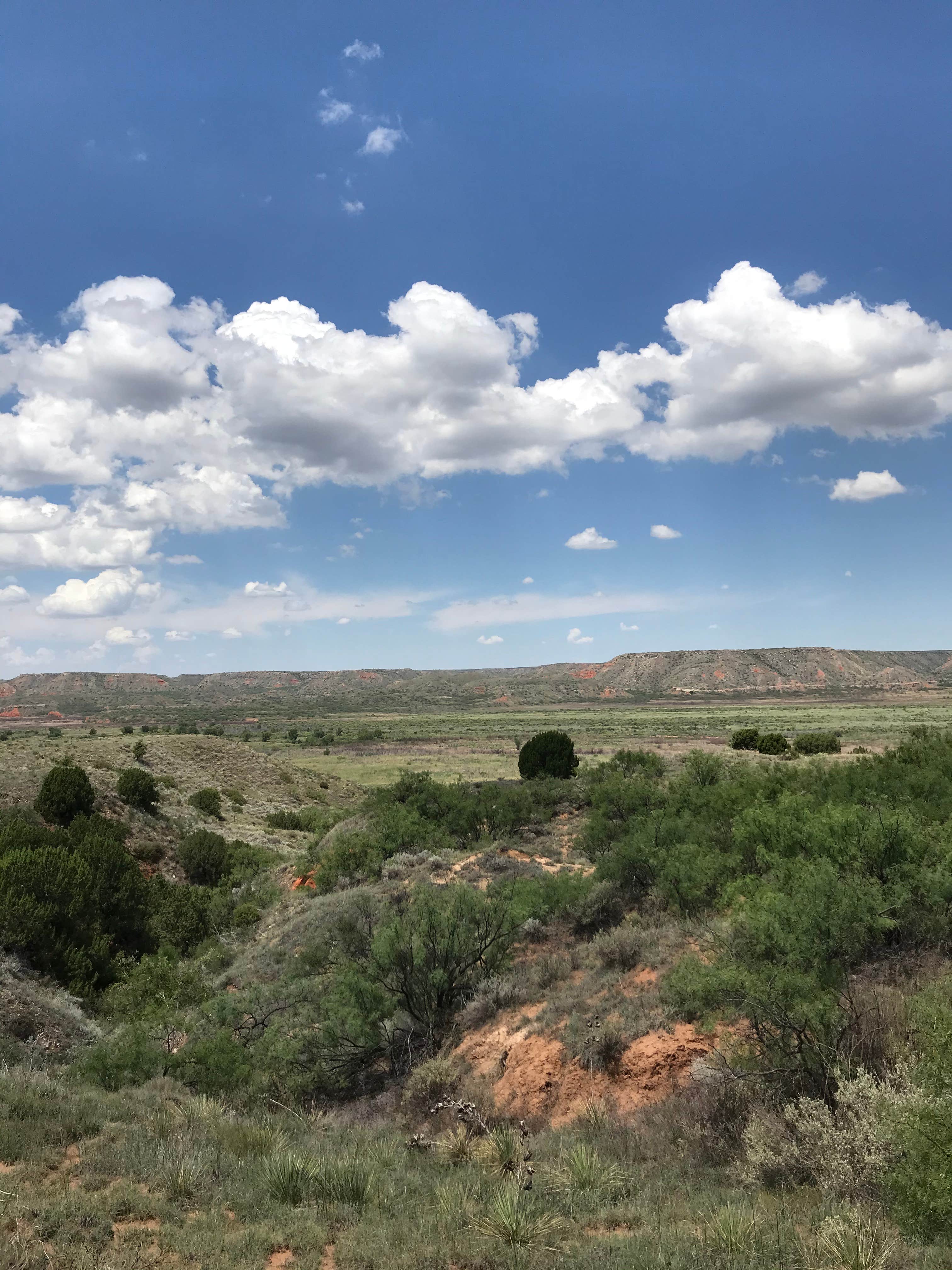 Kate W.'s photo of a dispersed camping area at McBride Canyon & Mullinaw Creek Camp — Lake Meredith National Recreation Area near Fritch, TX