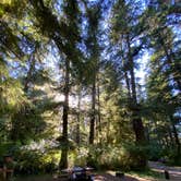 Review photo of Mora Campground — Olympic National Park by Ann P., July 29, 2020