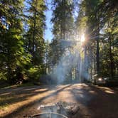 Review photo of Mora Campground — Olympic National Park by Ann P., July 29, 2020